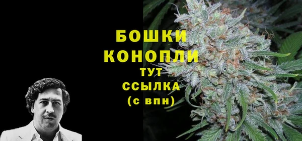 амф Аркадак